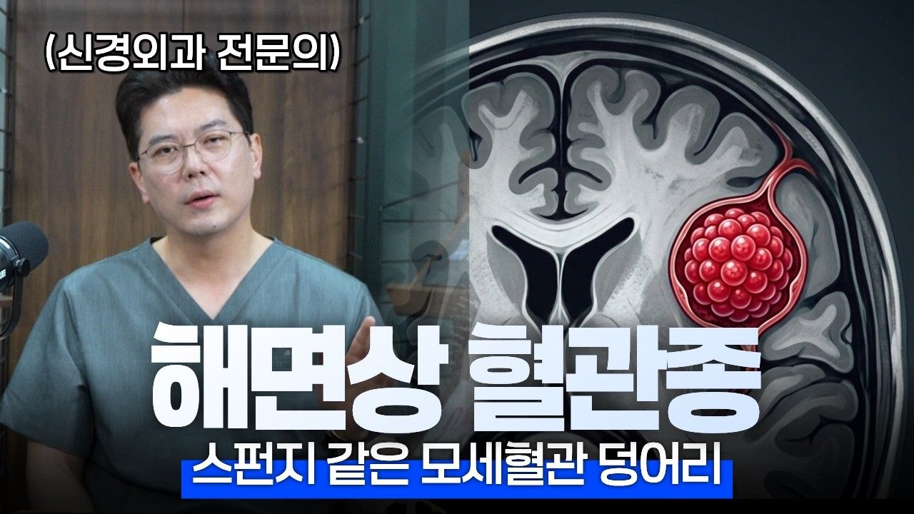 뇌에 생기는 산딸기, 해면상 혈관종